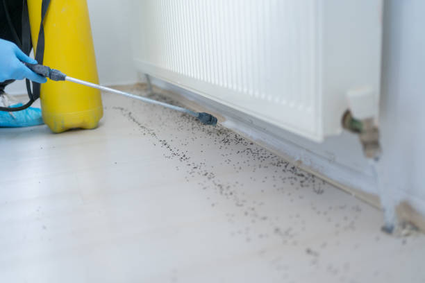Best Pest Control Near Me  in Eldorado, IL